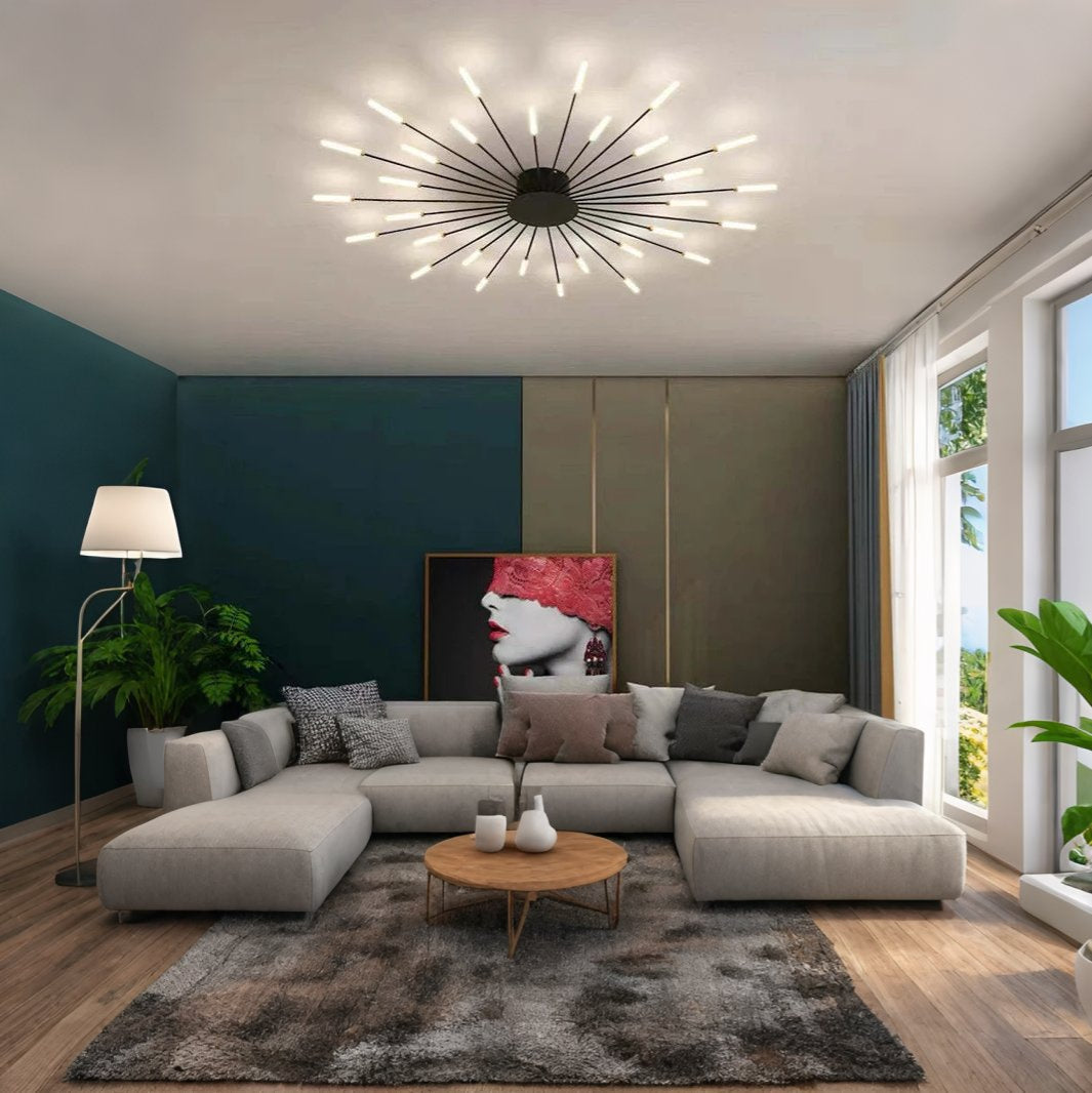 Fireworks Ceiling Lights