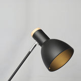 Modern Wood and Iron Adjustable Desk Lamp for Reading and Office Spaces