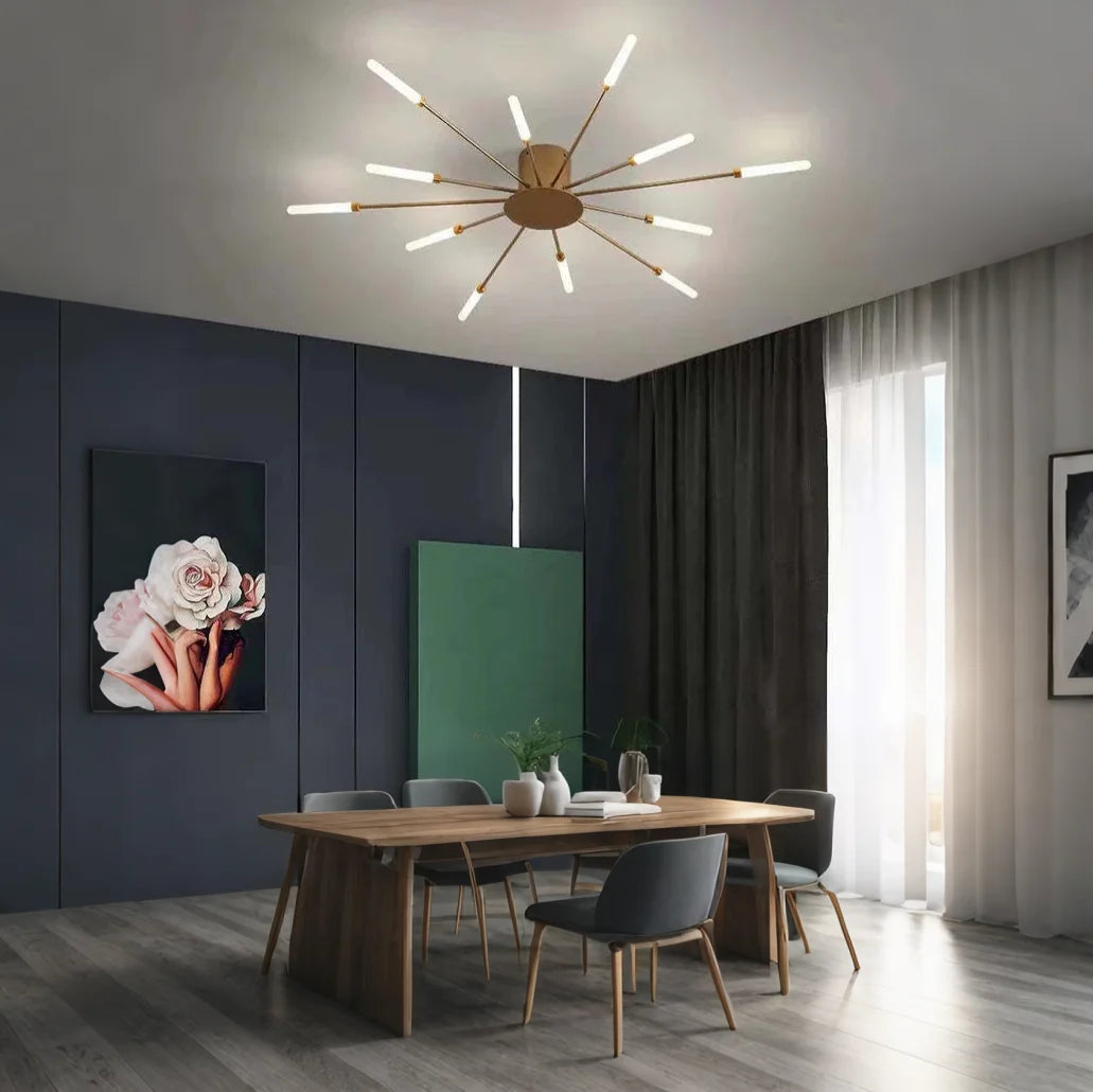 Fireworks Ceiling Lights