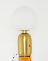 Modern Glass Globe Table Lamp with Polished Metal Frame for Modern Ambient Lighting