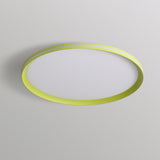 Modern Round Acrylic LED Flush Mount Ceiling Light for Living Room and Kitchen