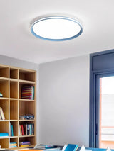Modern Round Acrylic LED Flush Mount Ceiling Light for Living Room and Kitchen