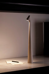 Africa Portable LED Table Lamp Rechargeable Cordless Minimalist Accent Light for Home and Office