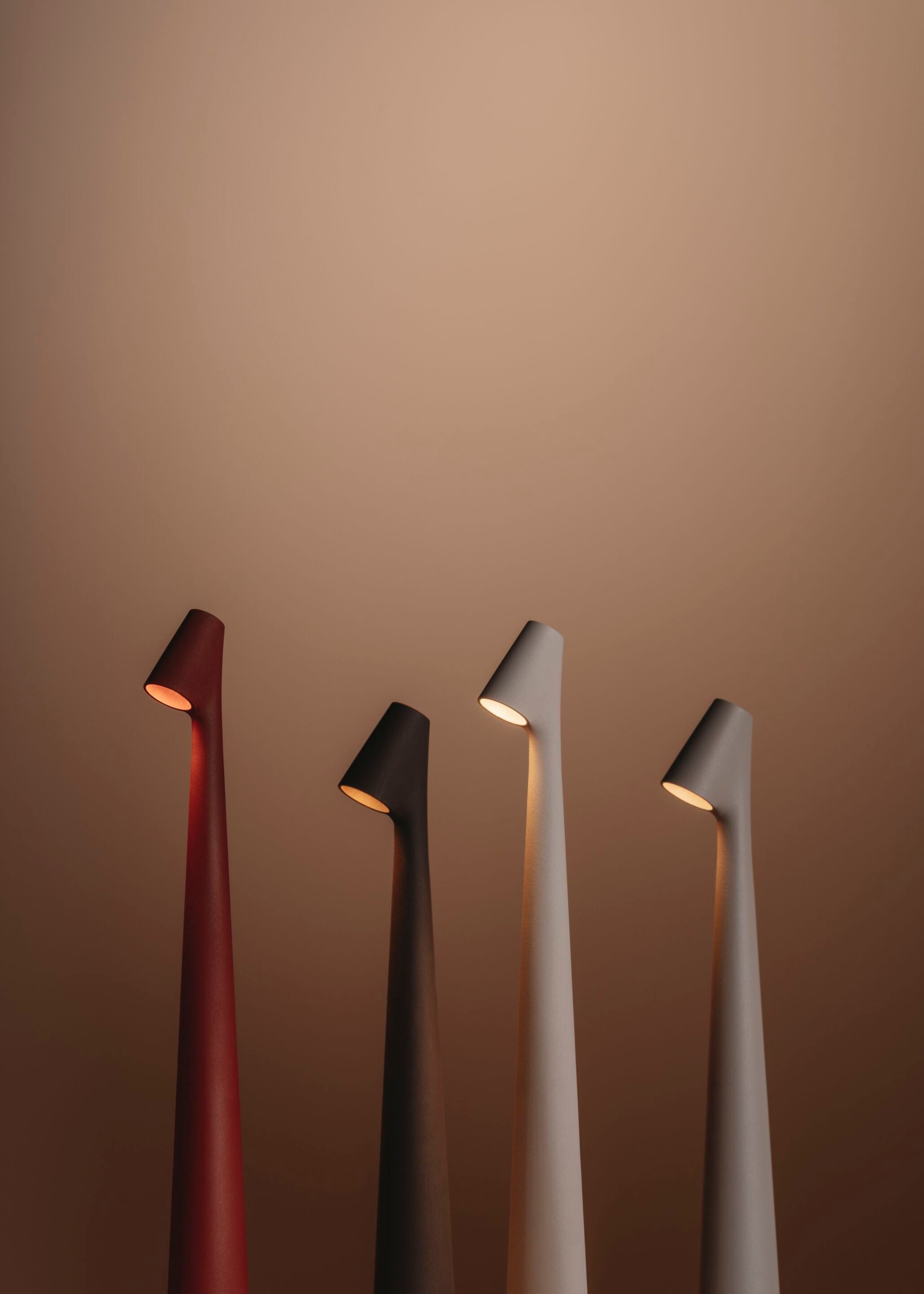 Africa Portable LED Table Lamp Rechargeable Cordless Minimalist Accent Light for Home and Office