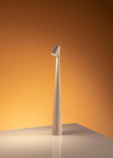Africa Portable LED Table Lamp Rechargeable Cordless Minimalist Accent Light for Home and Office