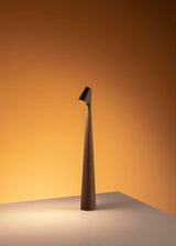 Africa Portable LED Table Lamp Rechargeable Cordless Minimalist Accent Light for Home and Office