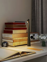 Africa Portable LED Table Lamp Rechargeable Cordless Minimalist Accent Light for Home and Office