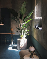 Modern Alabaster Comet LED Table Lamp for Luxury Bedroom and Office Lighting