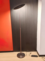 Ambra Modern LED Torchiere Floor Lamp with Acrylic Shade and Brown Finish