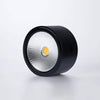 Minimalist Aluminum LED Ceiling Spotlight Surface Mounted Downlight for Residential and Retail Use
