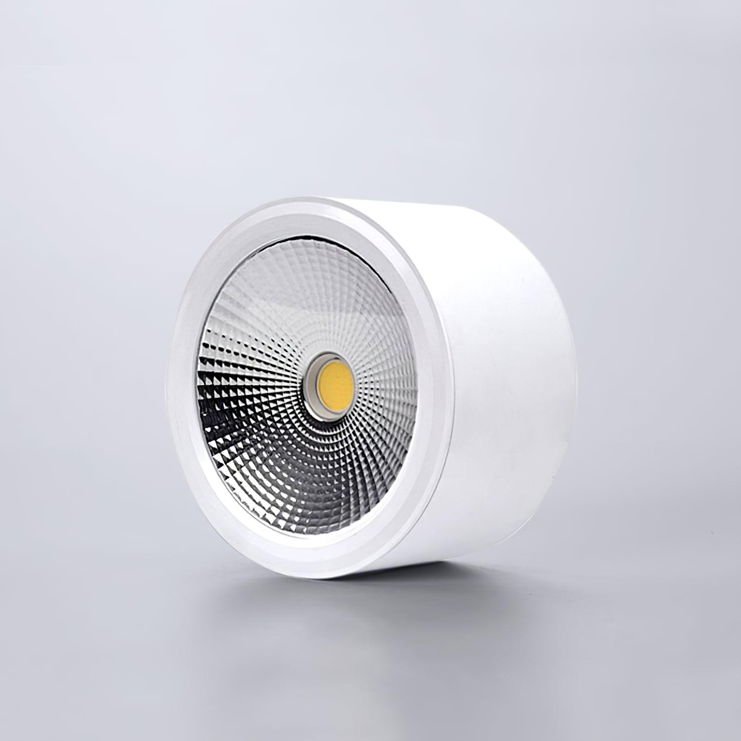 Minimalist Aluminum LED Ceiling Spotlight Surface Mounted Downlight for Residential and Retail Use