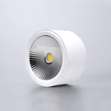 Minimalist Aluminum LED Ceiling Spotlight Surface Mounted Downlight for Residential and Retail Use