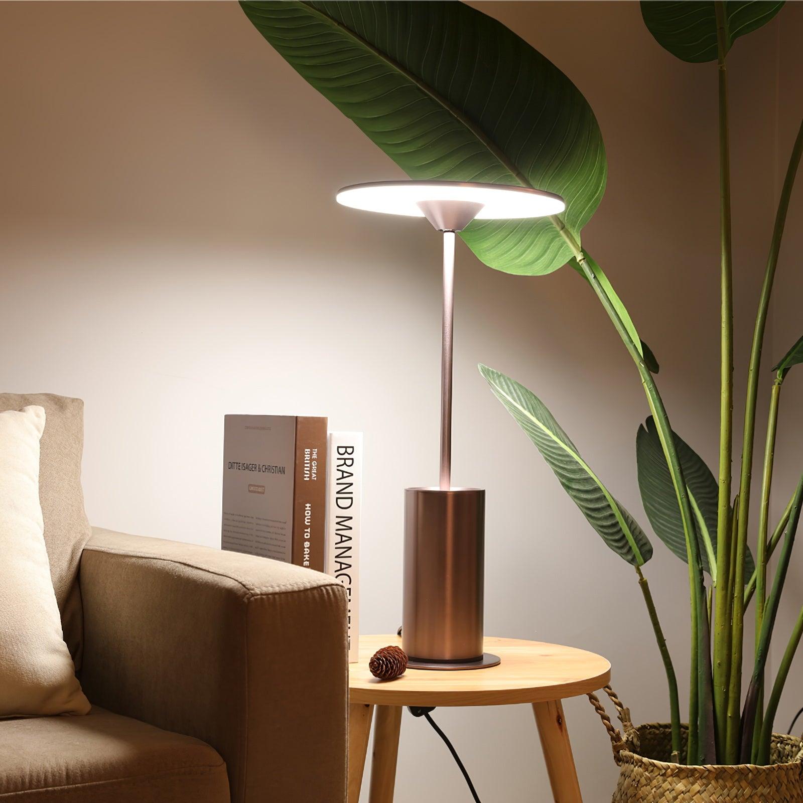 Modern Minimalist Adjustable LED Table Lamp with Stainless Steel Stem for Office and Desk