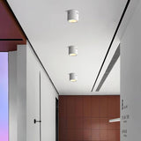 Aven Modern Cylindrical LED Ceiling Mounted Spotlight Aluminum Indoor Task Light