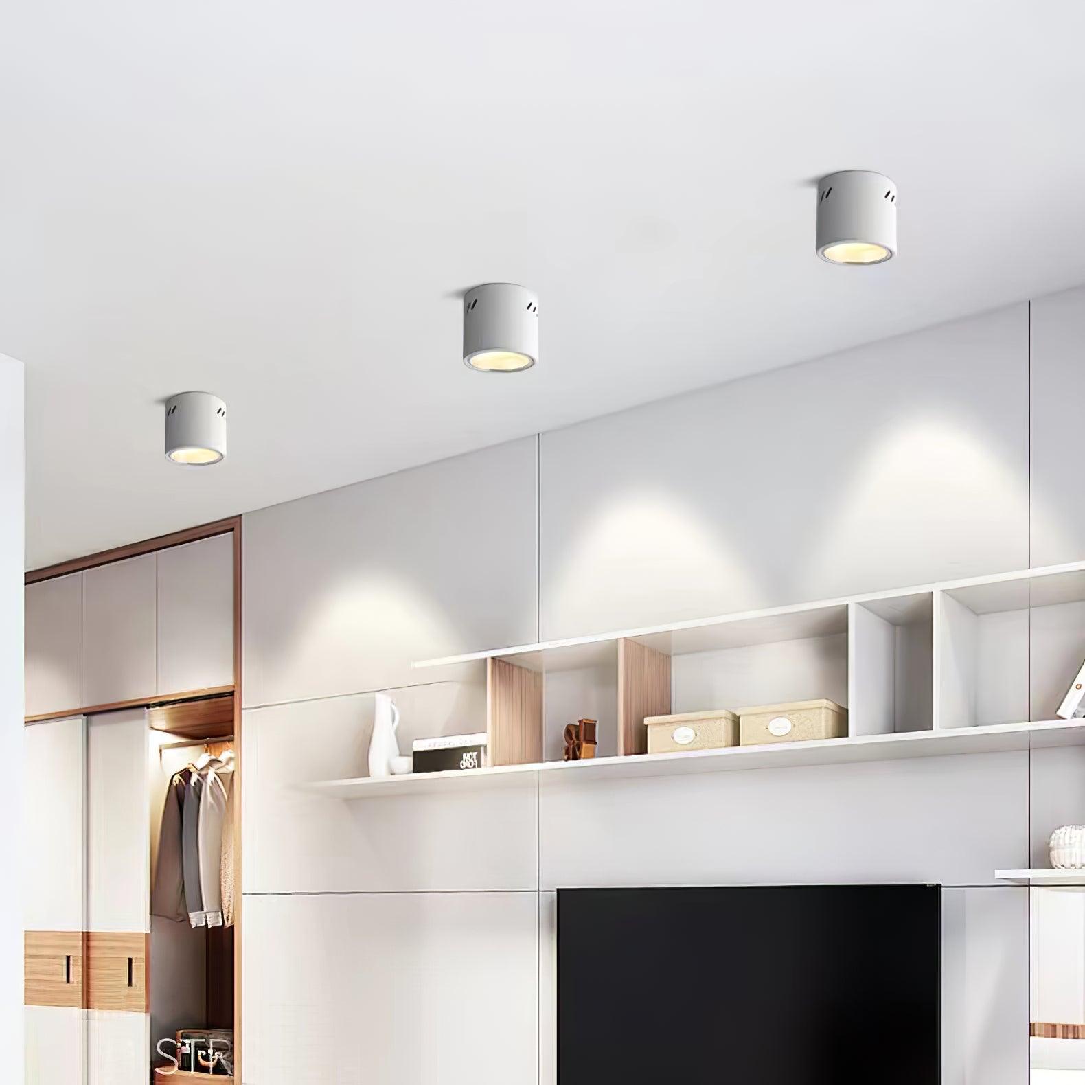 Aven Modern Cylindrical LED Ceiling Mounted Spotlight Aluminum Indoor Task Light