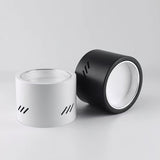 Aven Modern Cylindrical LED Ceiling Mounted Spotlight Aluminum Indoor Task Light