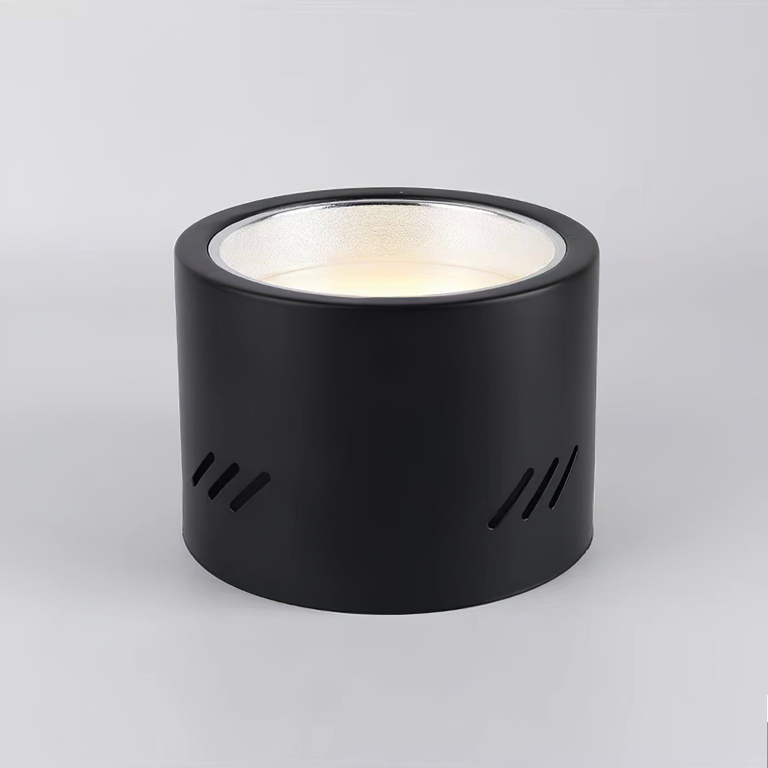 Aven Modern Cylindrical LED Ceiling Mounted Spotlight Aluminum Indoor Task Light