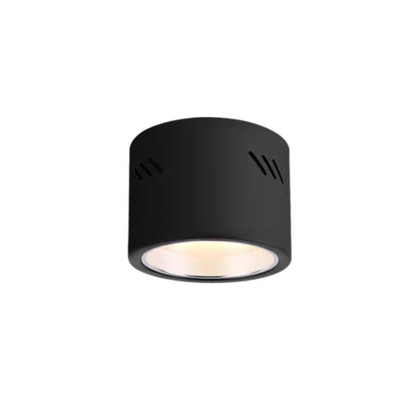Aven Modern Cylindrical LED Ceiling Mounted Spotlight Aluminum Indoor Task Light
