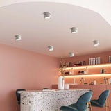 Aven Modern Cylindrical LED Ceiling Mounted Spotlight Aluminum Indoor Task Light