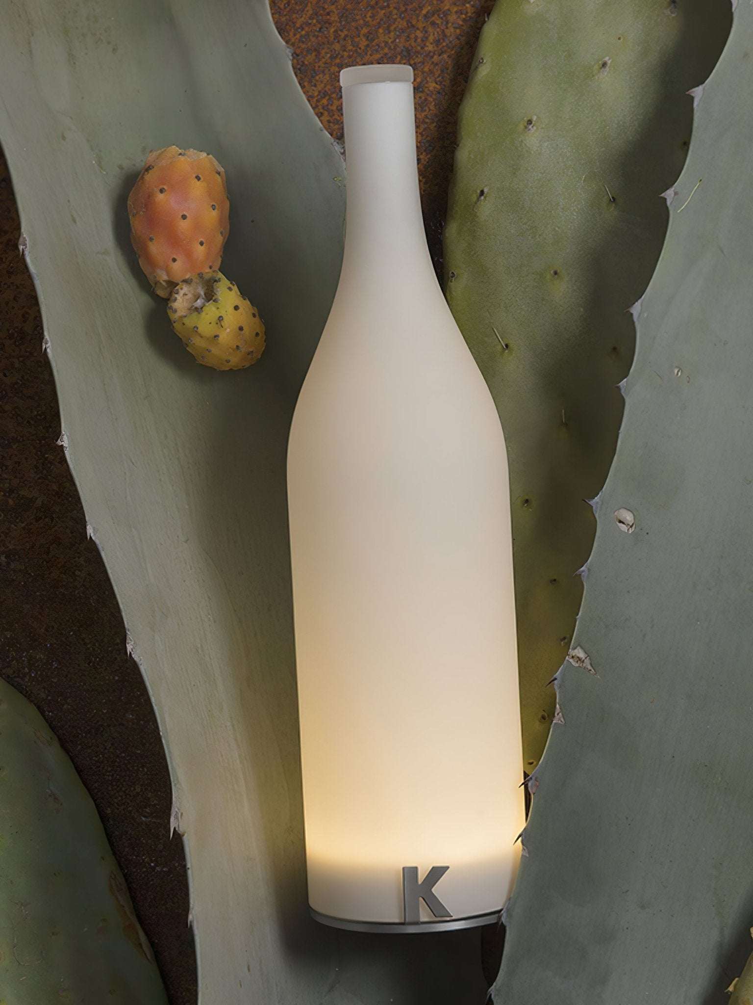 Bacco Portable Rechargeable LED Table Lamp Cordless Minimalist Battery Operated Accent Light