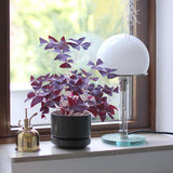 mid-century-modern-bauhaus-glass-table-lamp-wg-24-style-desk-light-with-pull-switch