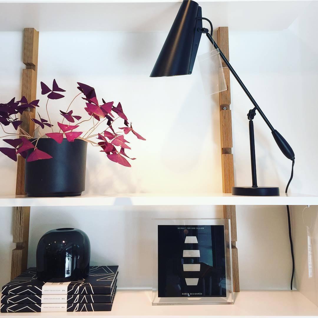modern-birdy-table-lamp-with-adjustable-arm-and-minimalist-steel-design
