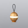 Modern Rechargeable LED Sphere Table Lamp with Portable Leather Cord Handle