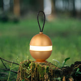 Modern Rechargeable LED Sphere Table Lamp with Portable Leather Cord Handle