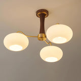 mid-century-modern-brass-and-wooden-persimmon-chandelier-glass-pendant-light