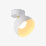 carins-modern-metal-flush-mount-ceiling-lamp-for-kitchen-bedroom-hallway