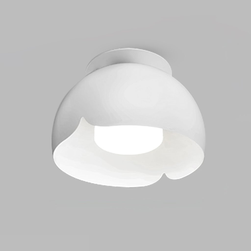 carins-modern-metal-flush-mount-ceiling-lamp-for-kitchen-bedroom-hallway