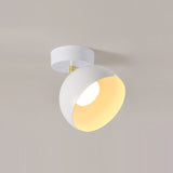 carins-modern-metal-flush-mount-ceiling-lamp-for-kitchen-bedroom-hallway