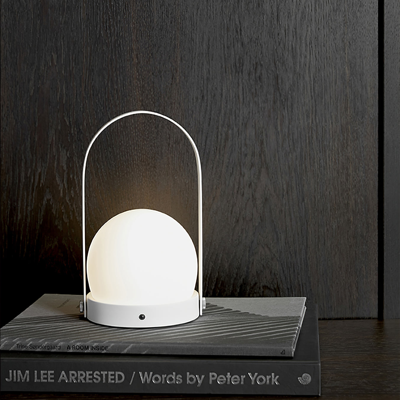 Carrie Portable Rechargeable LED Table Lamp with Built in Battery and Touch Control