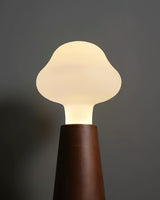 Cloudlet LED Table Lamp Contemporary Wood and Acrylic Desk Light for Soft Ambient Illumination