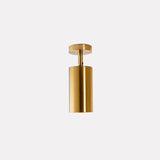 Rotatable Brass Cylinder Spotlight Flush Mount Ceiling Light for Modern Interiors