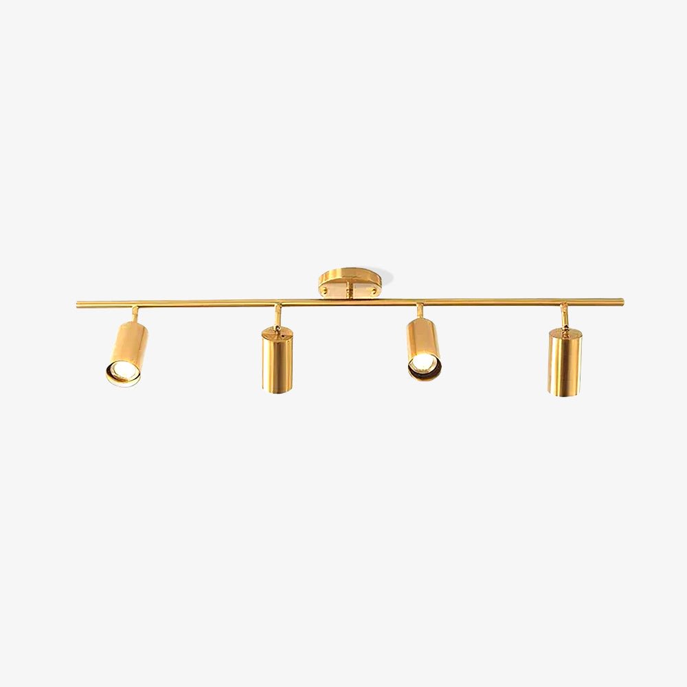 Rotatable Brass Cylinder Spotlight Flush Mount Ceiling Light for Modern Interiors