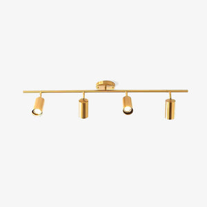 Rotatable Brass Cylinder Spotlight Flush Mount Ceiling Light for Modern Interiors