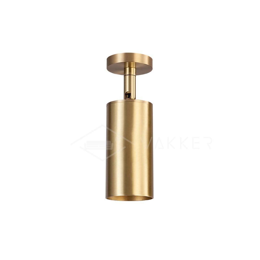Rotatable Brass Cylinder Spotlight Flush Mount Ceiling Light for Modern Interiors