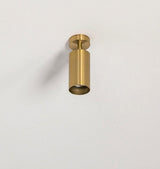 Rotatable Brass Cylinder Spotlight Flush Mount Ceiling Light for Modern Interiors