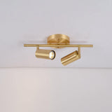 Rotatable Brass Cylinder Spotlight Flush Mount Ceiling Light for Modern Interiors