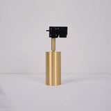 Rotatable Brass Cylinder Spotlight Flush Mount Ceiling Light for Modern Interiors