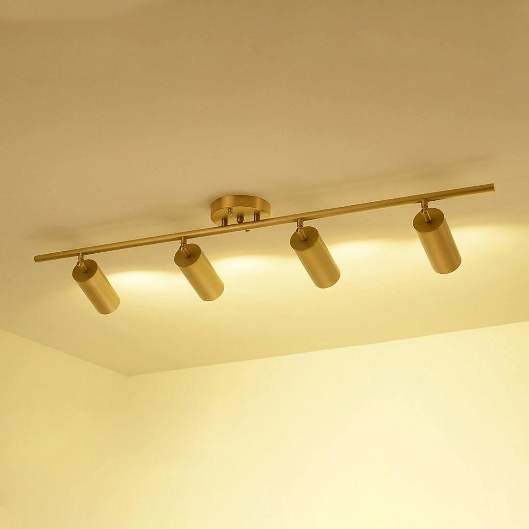 Rotatable Brass Cylinder Spotlight Flush Mount Ceiling Light for Modern Interiors