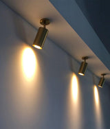 Rotatable Brass Cylinder Spotlight Flush Mount Ceiling Light for Modern Interiors