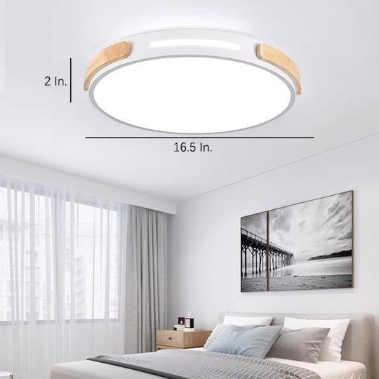 Modern Minimalist Round LED Flush Mount Ceiling Light for Living Room and Bedroom