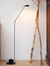Dynamo Adjustable Arm LED Floor Lamp with Rotating Metal Diffuser and Cylindrical Base Standing Light