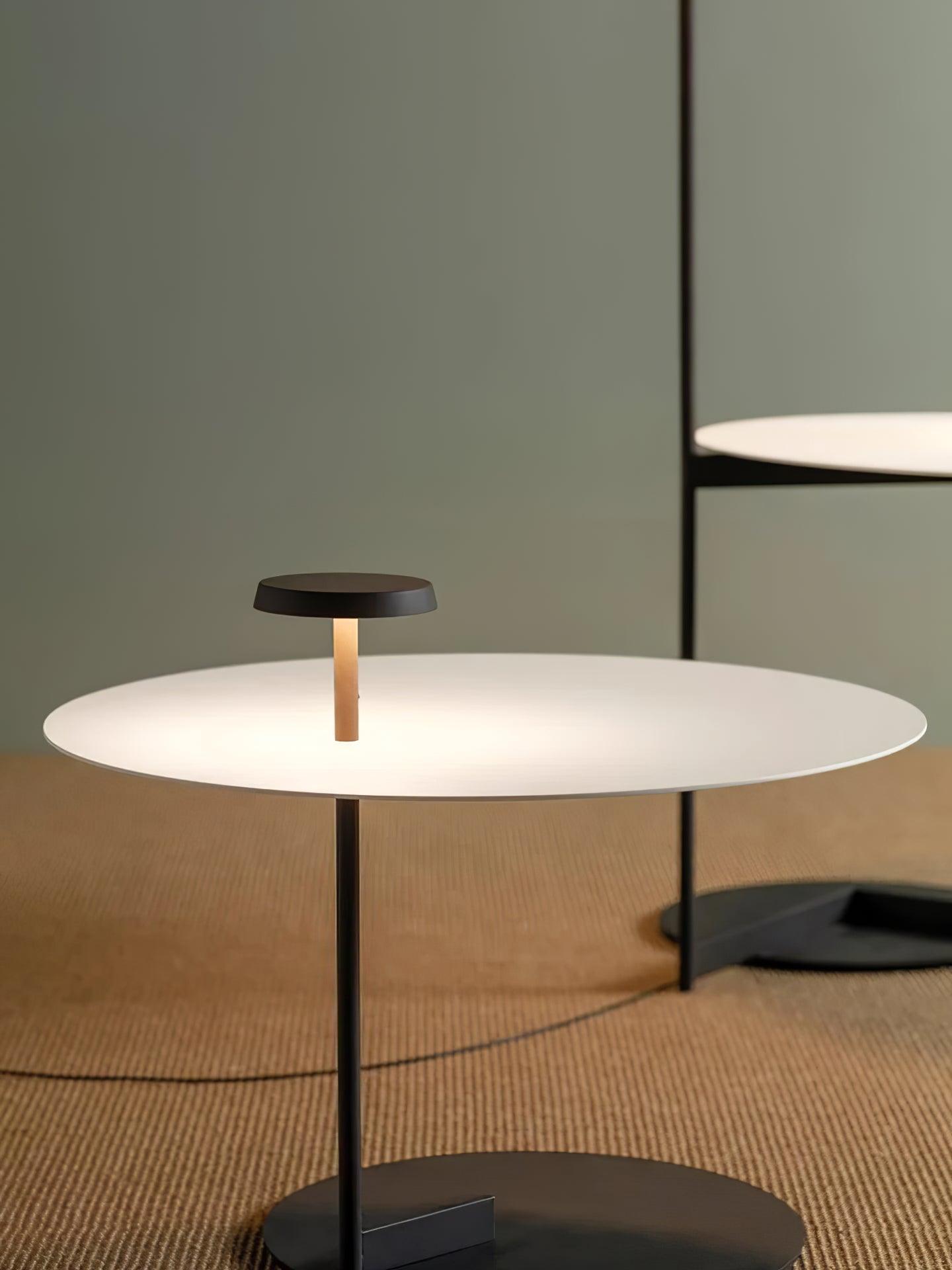 Modern Flat Metal Pan LED Floor Lamp with Dual Disc Design for Soft Ambient Lighting