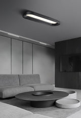 Modern Minimalist Organic Flowing Cloud LED Ceiling Light with Wood Frame and Acrylic Diffuser