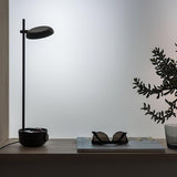 Focal Adjustable LED Desk Lamp with Storage Base and Rotating Head