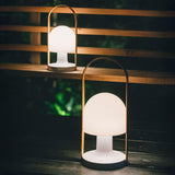 Portable Rechargeable Glass Bedside Table Lamp with Adjustable Tilting Shade and Wood Finish