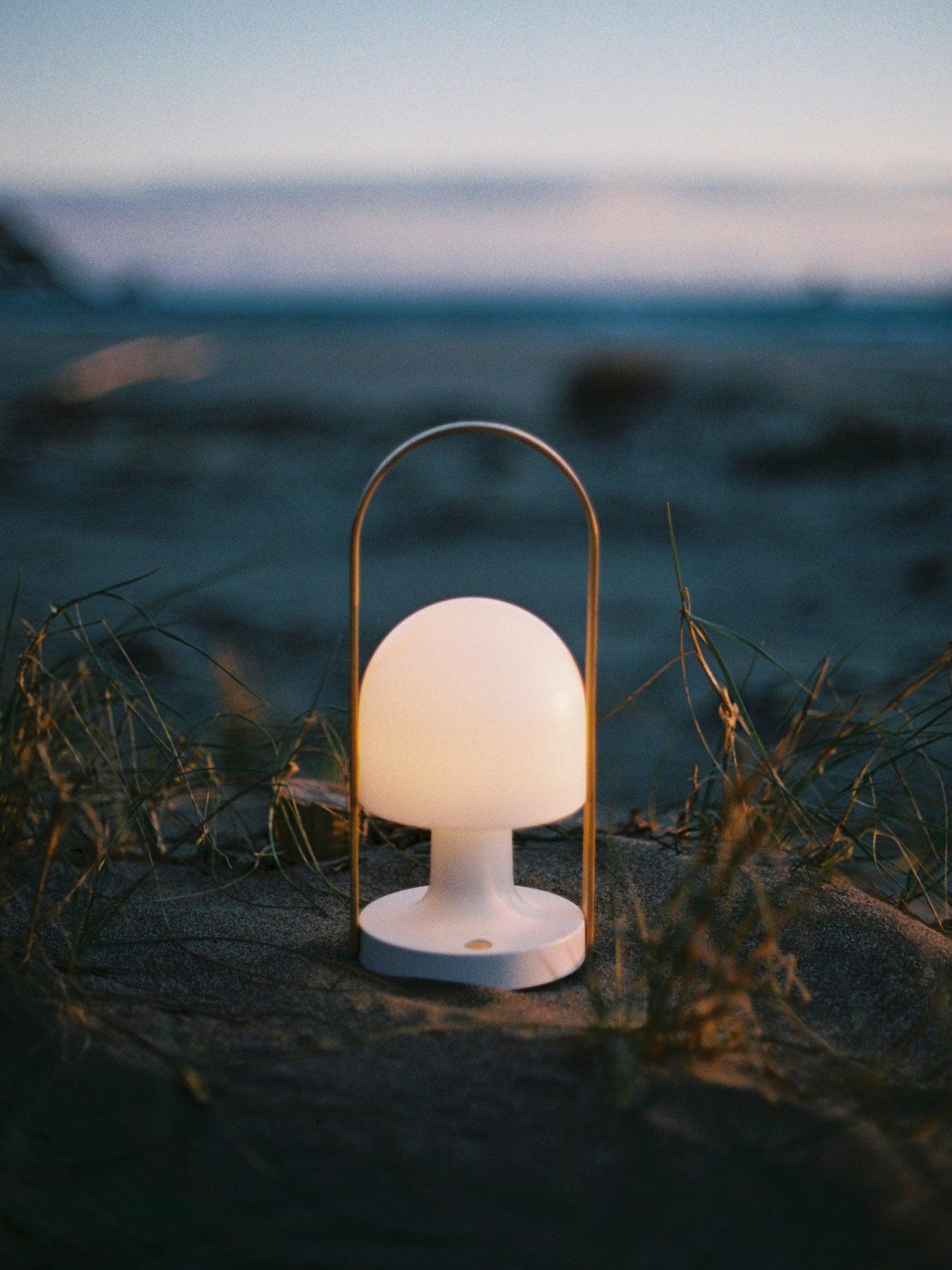 Portable Rechargeable Glass Bedside Table Lamp with Adjustable Tilting Shade and Wood Finish